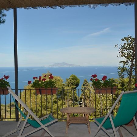 Le Ginestre Di Capri Bb & Holiday House Anacapri  Exterior photo