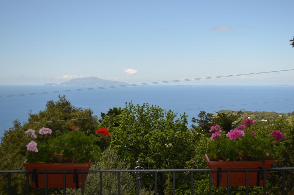 Le Ginestre Di Capri Bb & Holiday House Anacapri  Exterior photo