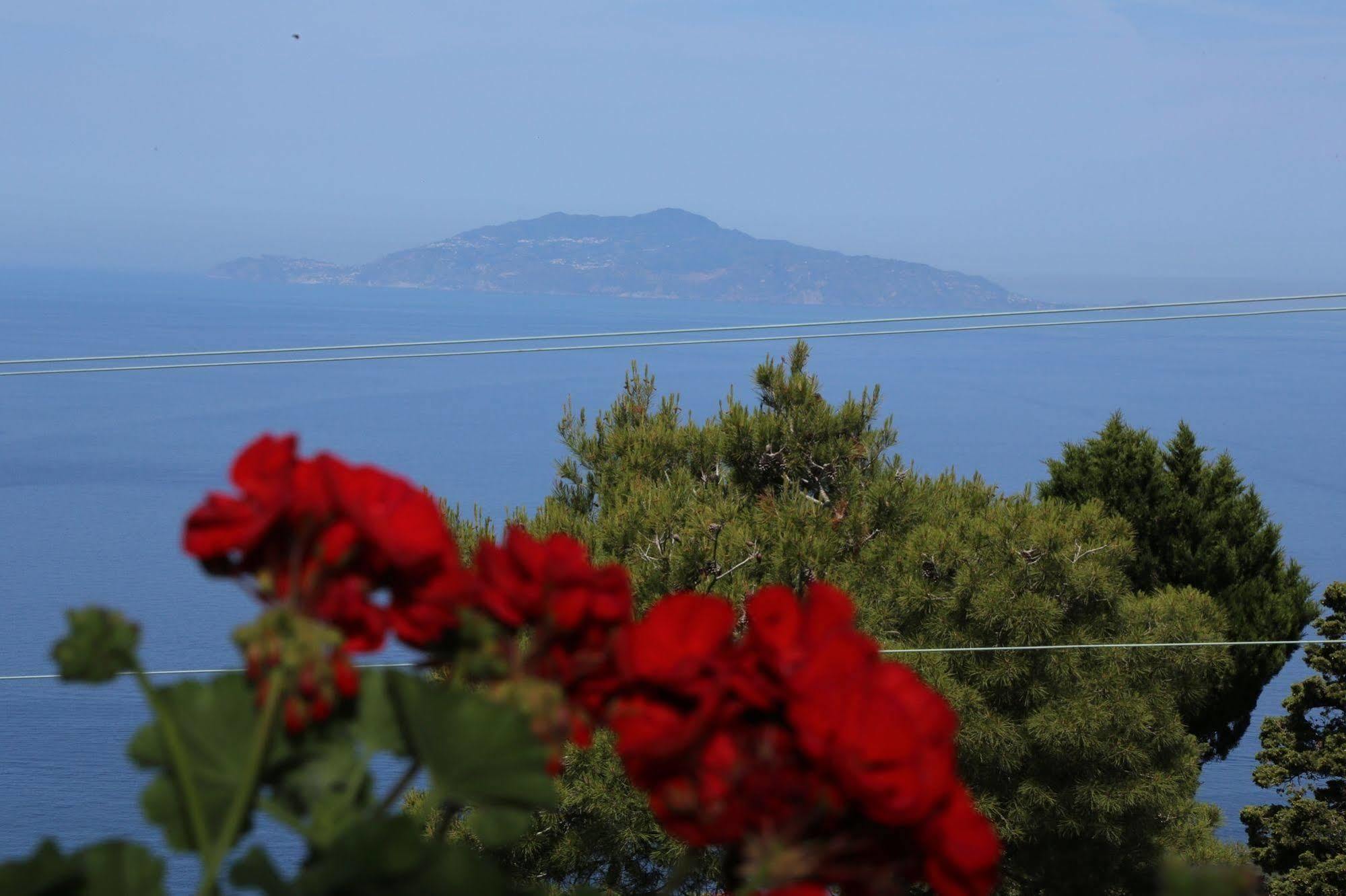 Le Ginestre Di Capri Bb & Holiday House Anacapri  Exterior photo